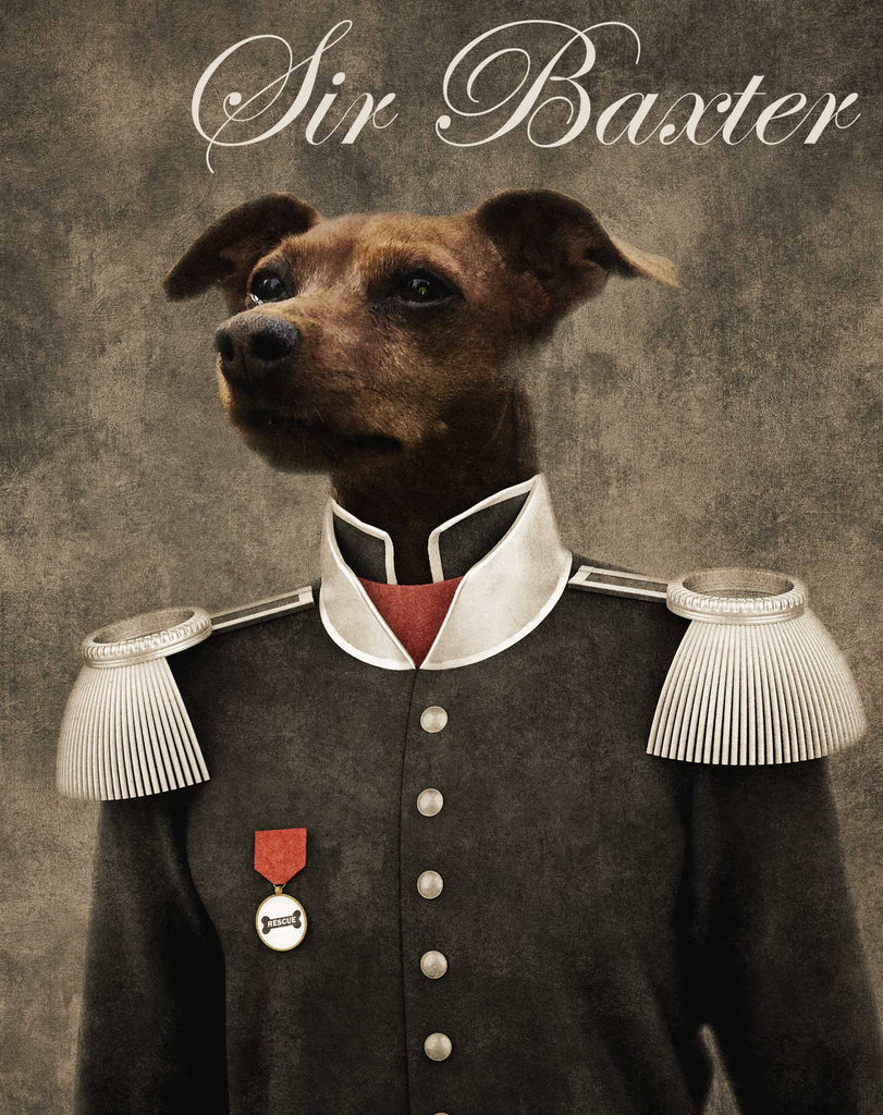 general dog portrait